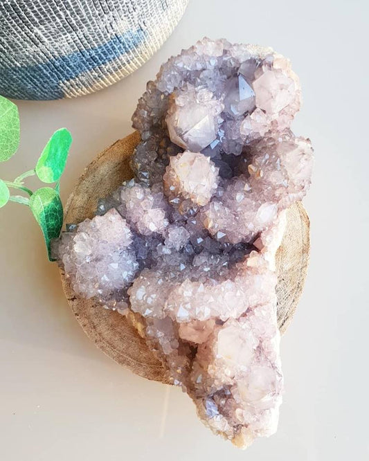Amethyst Cactus / Spirit Quartz