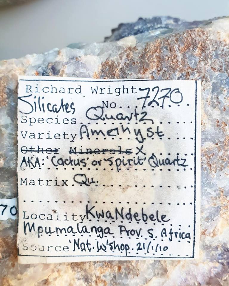 Amethyst Cactus / Spirit Quartz