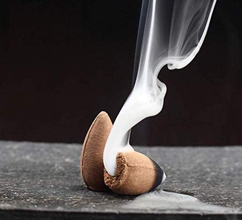 Goloka - Palo Santo Backflow Incense Cones