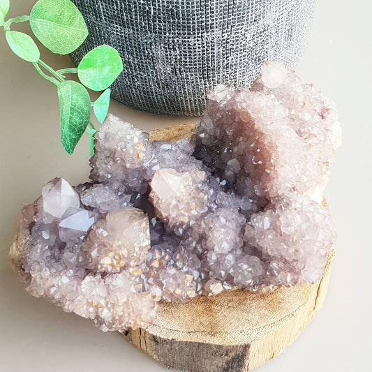 Amethyst Cactus / Spirit Quartz