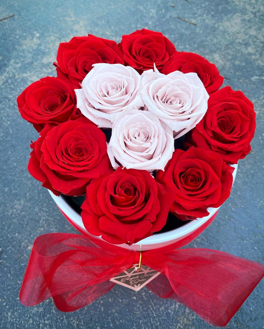 🌹 11 Preserved Everlasting Roses 🌹