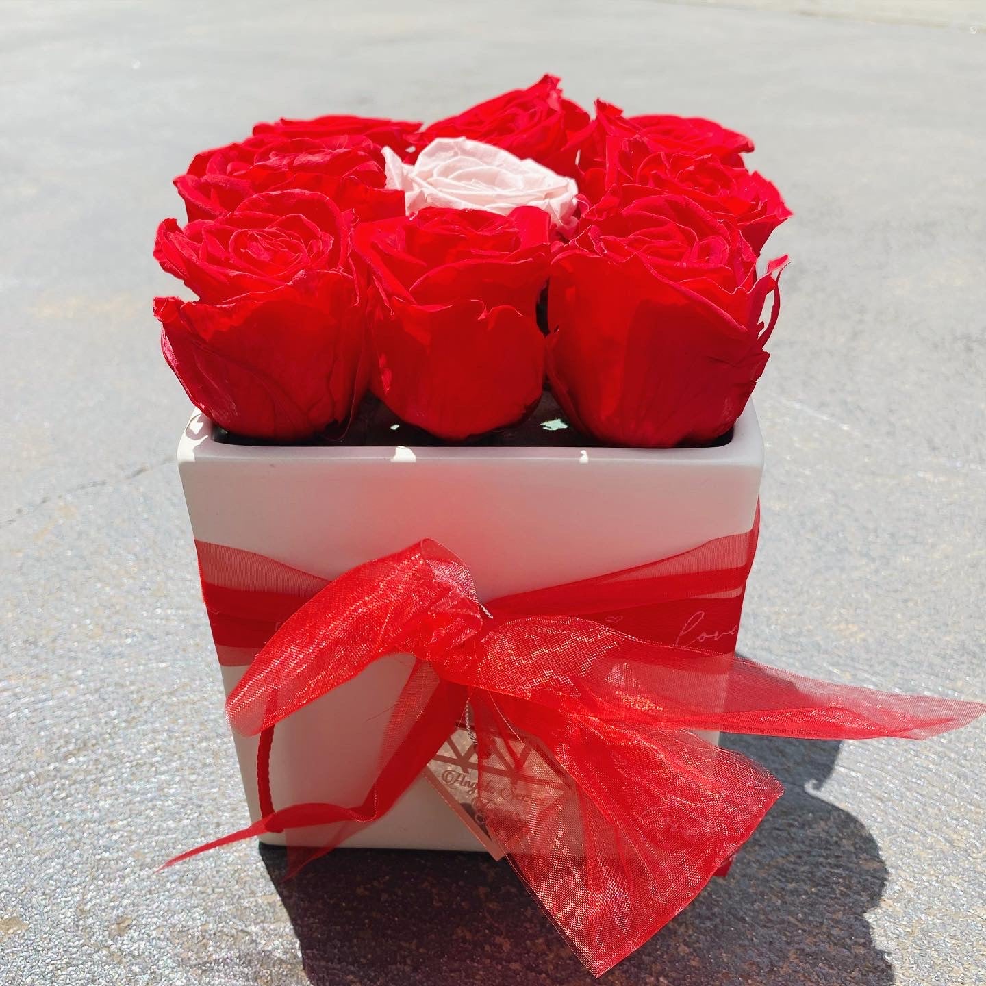 🌹 9 Preserved Everlasting Roses 🌹