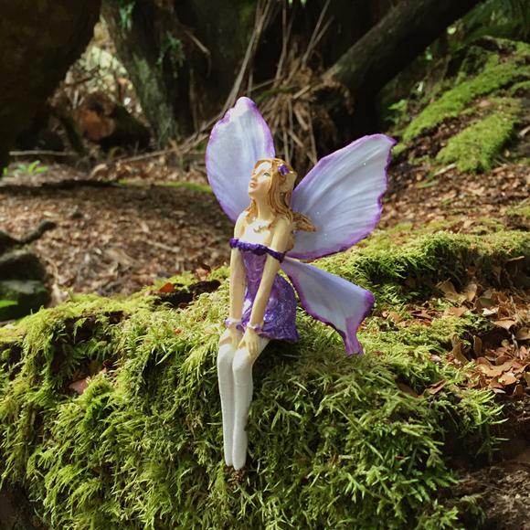 FAIRY GARDEN & KIDS