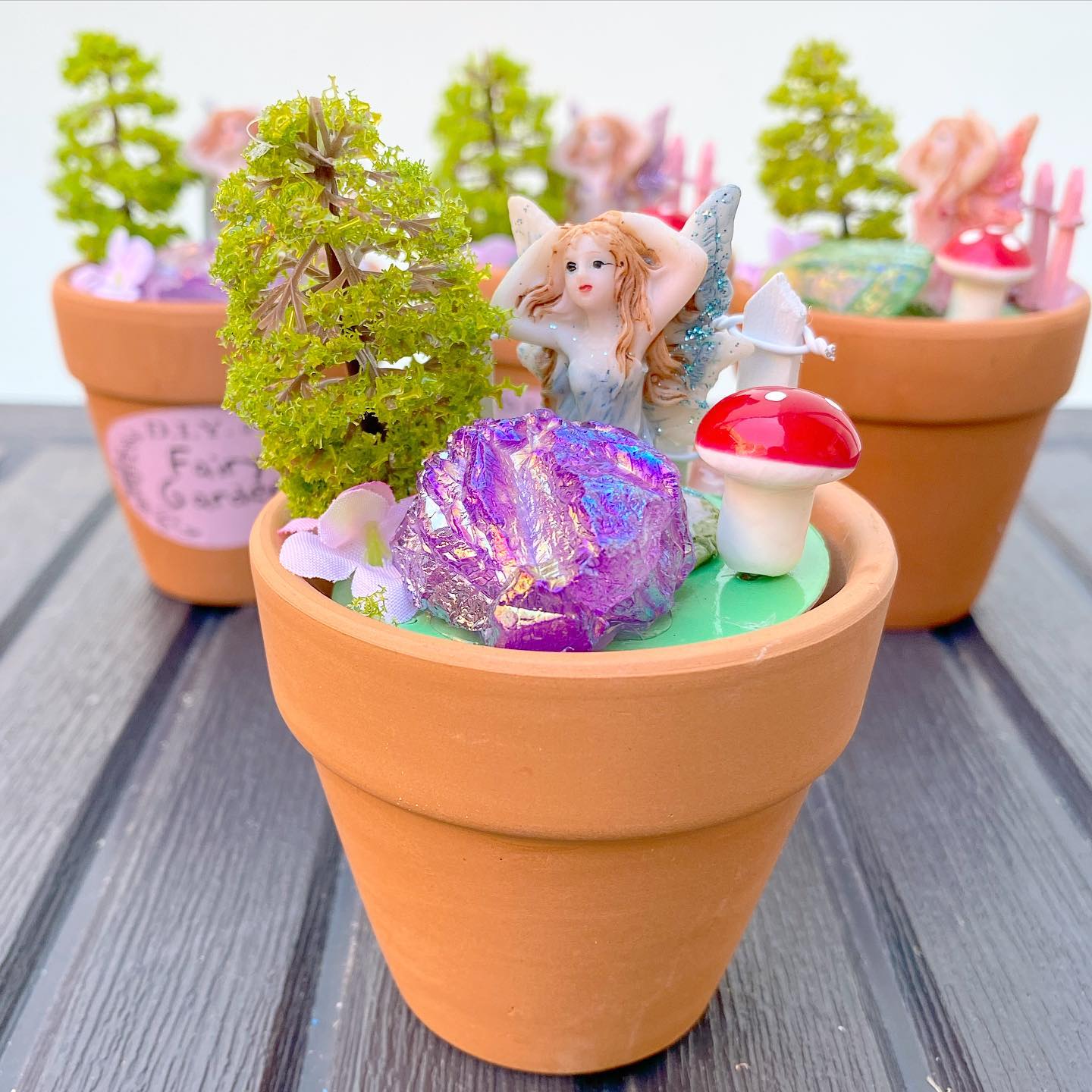 Mini Fairy 🧚 Crystal Garden Pot