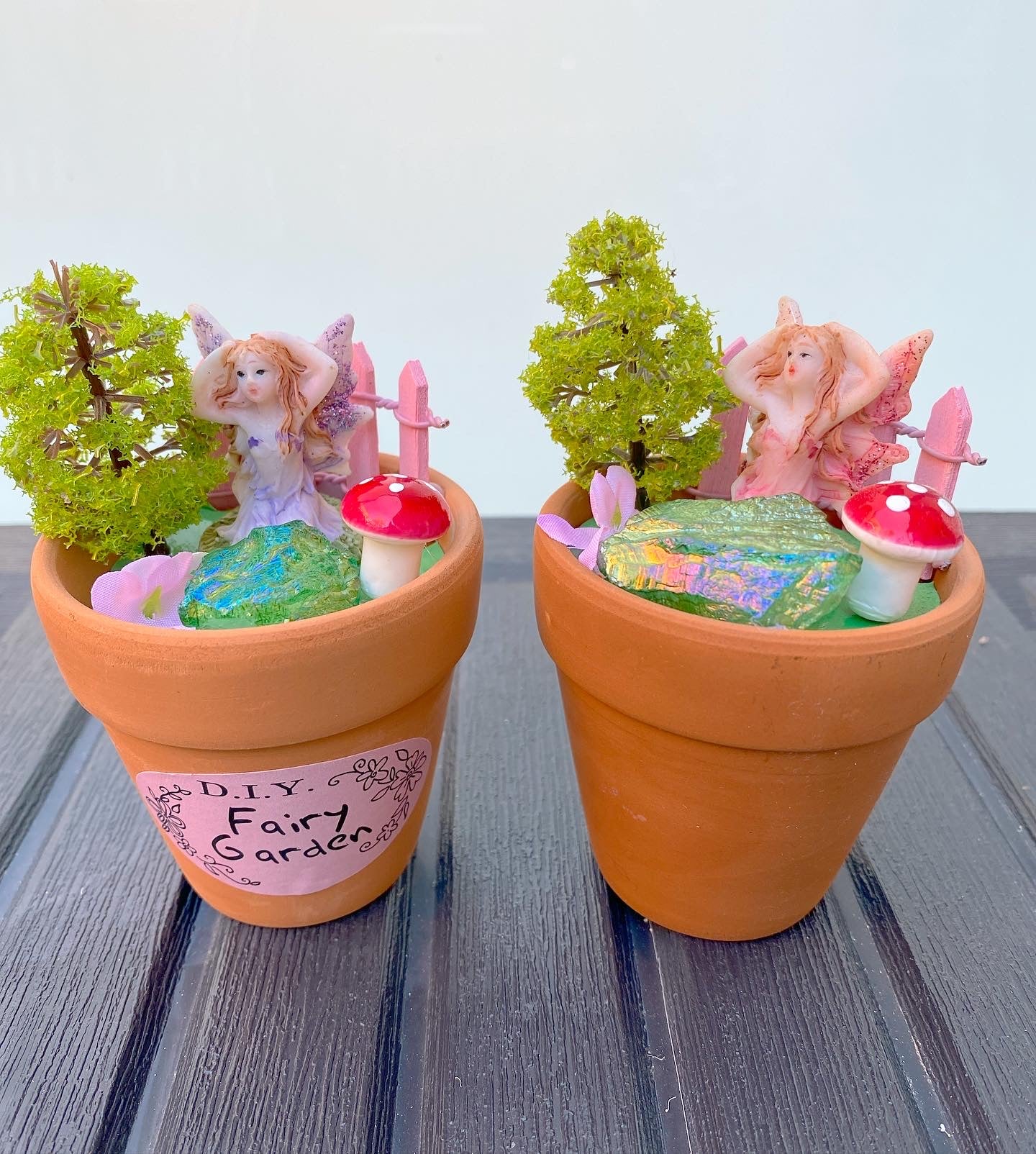 Mini Fairy 🧚 Crystal Garden Pot