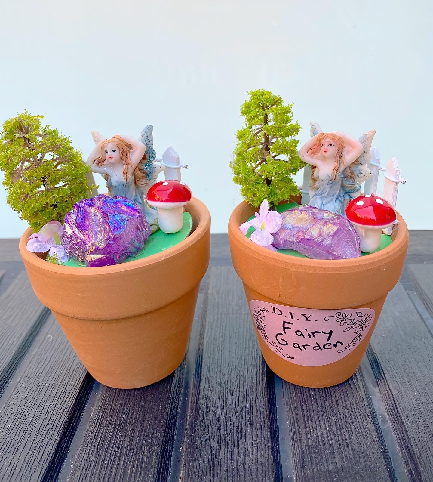 Mini Fairy 🧚 Crystal Garden Pot