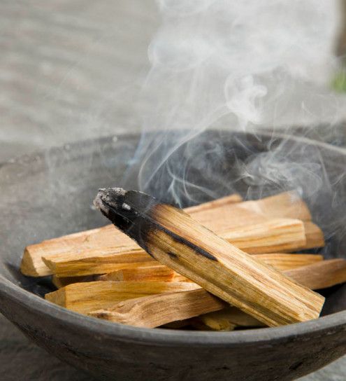 Palo Santo Smudge Sticks - 5pk