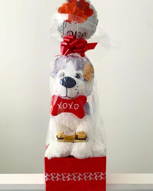 Mr Husky Puppy  🐶 with "Xoxo" Bone