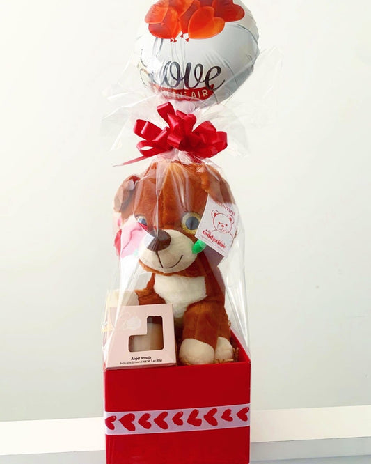Lola Bear ๐งธ Gift